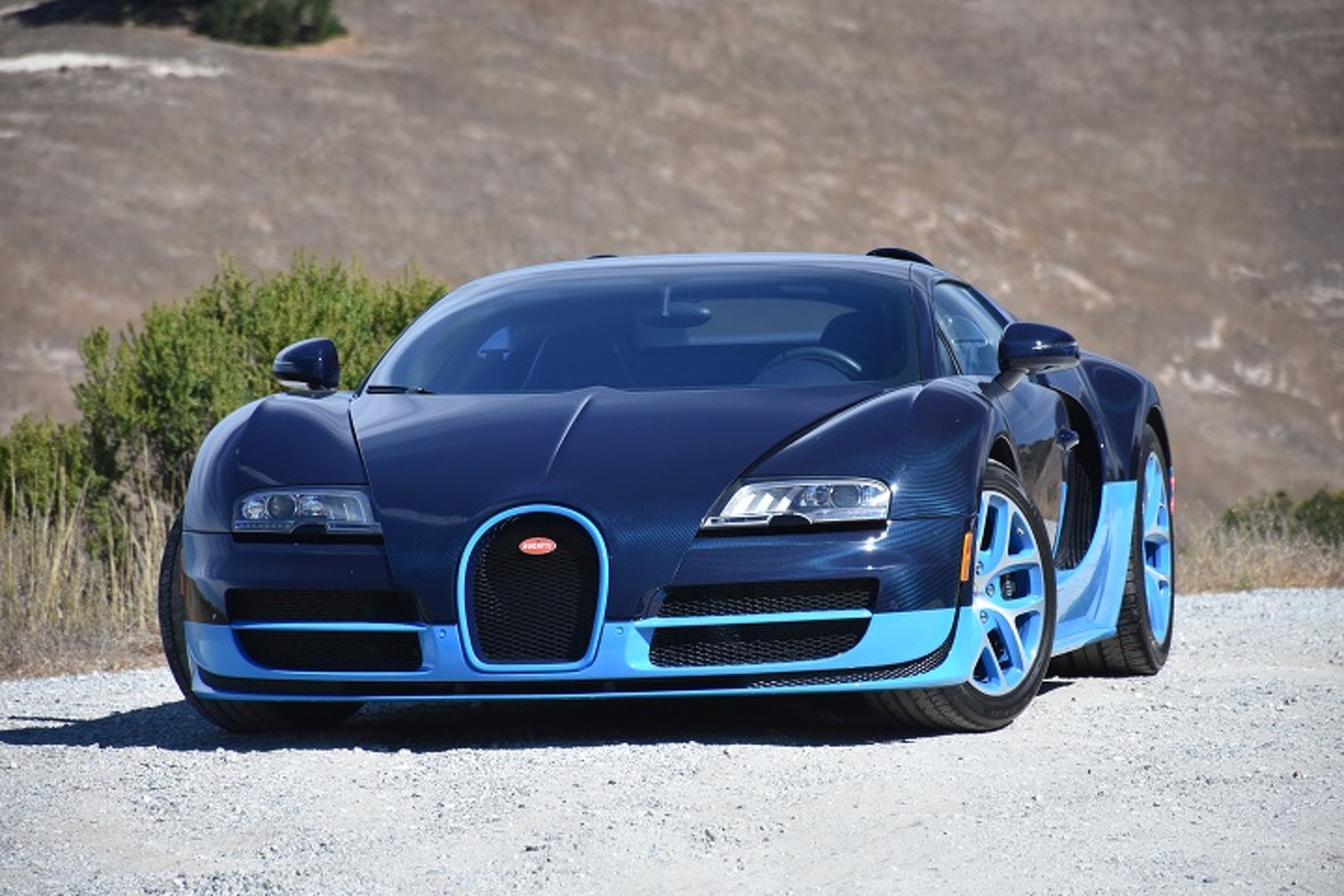 Veyron For Import And Export In Asia Torque Consultants